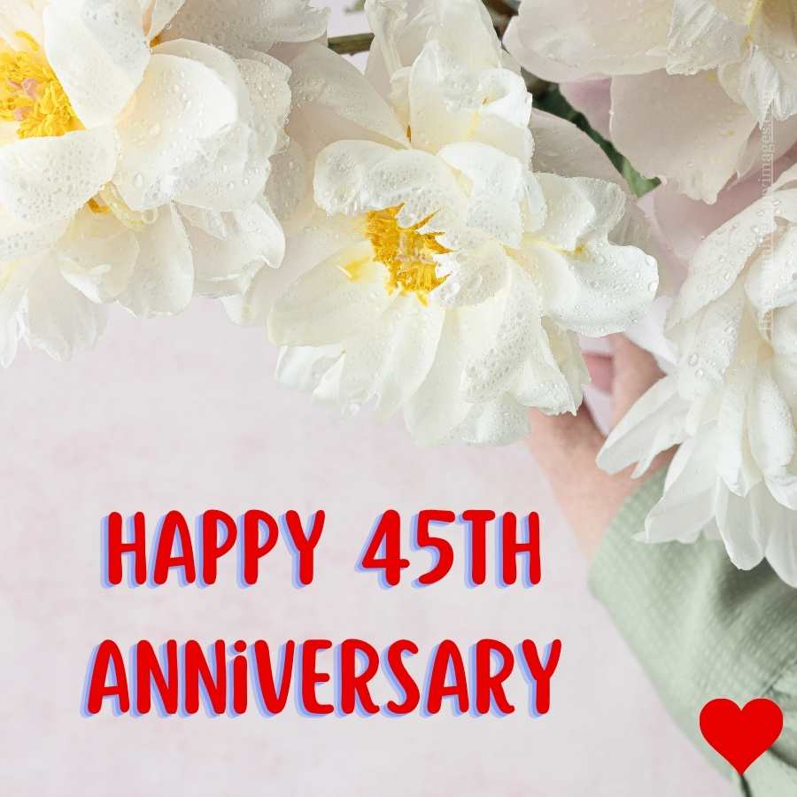 happy 45th anniversary for wife